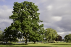 alster2-lzb-1